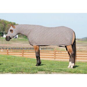 Weaver Medium Equiskinz Lycra Full Body Moisture Wicking Sheet - Leopard